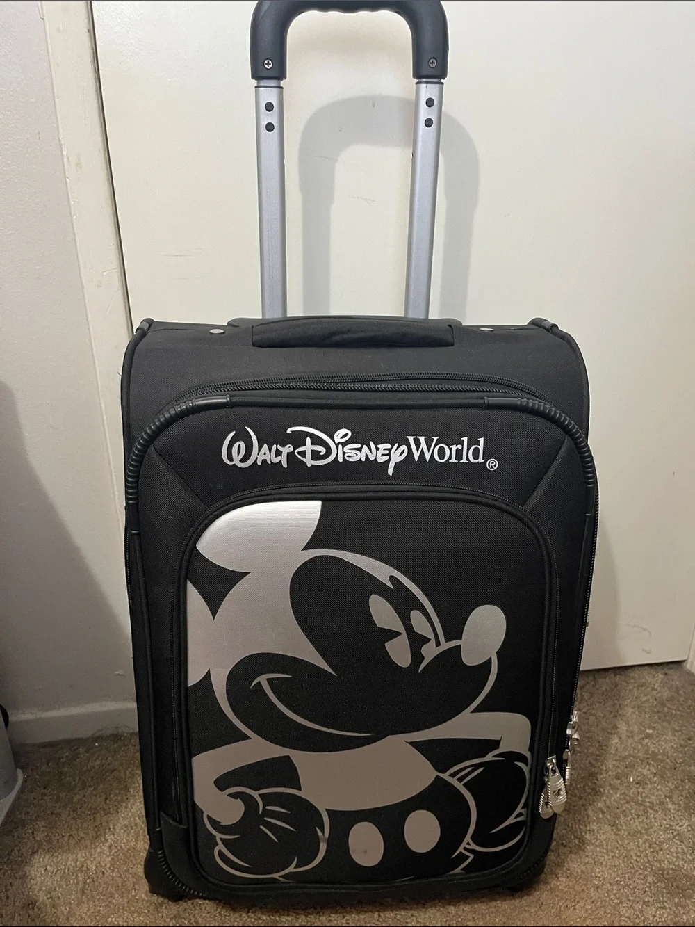 Walt Disney trademark luggage with 